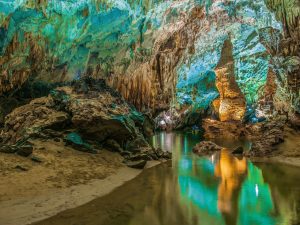 BOTANICAL GARDEN – PARADISE CAVE – PHONG NHA CAVE BY BOAT FULL-DAY TOUR (1 DAY)