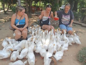 PHONG NHA VILLAGE CYCLING TOUR DUCK FARM VISIT & FEEDING EXPERIENCE (FULL DAY)