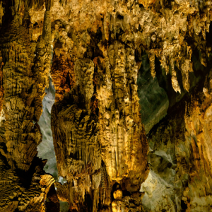 PHONG NHA BOTANICAL GARDEN – PARADISE CAVE – DARK CAVE FULL-DAY TOUR (1 DAY)