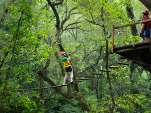 PHONG NHA CAVE – OZO PARK – COMMAND CAVE FULL-DAY TOUR (1 DAY)