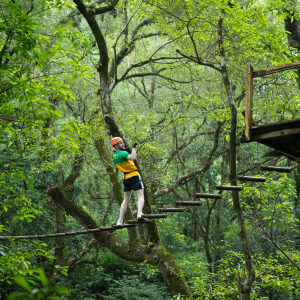 PHONG NHA CAVE – OZO PARK – COMMAND CAVE FULL-DAY TOUR (1 DAY)